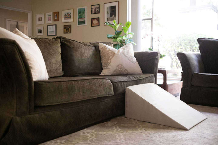 white dog ramp side view in front of couch